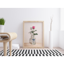 Rose in Vodka Bottle Wall Art Print – Modern Still Life with Floral Elegance and Bold Contrast