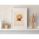 Biscat Whimsical Illustration